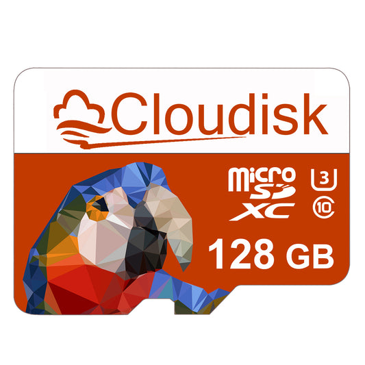 Cloudisk 256GB 128GB 64GB 32GB U3 V30 C10 Micro SD Card 16GB 8GB 4GB 2GB 1GB 512MB 256MB 128MB Flash Memory Card