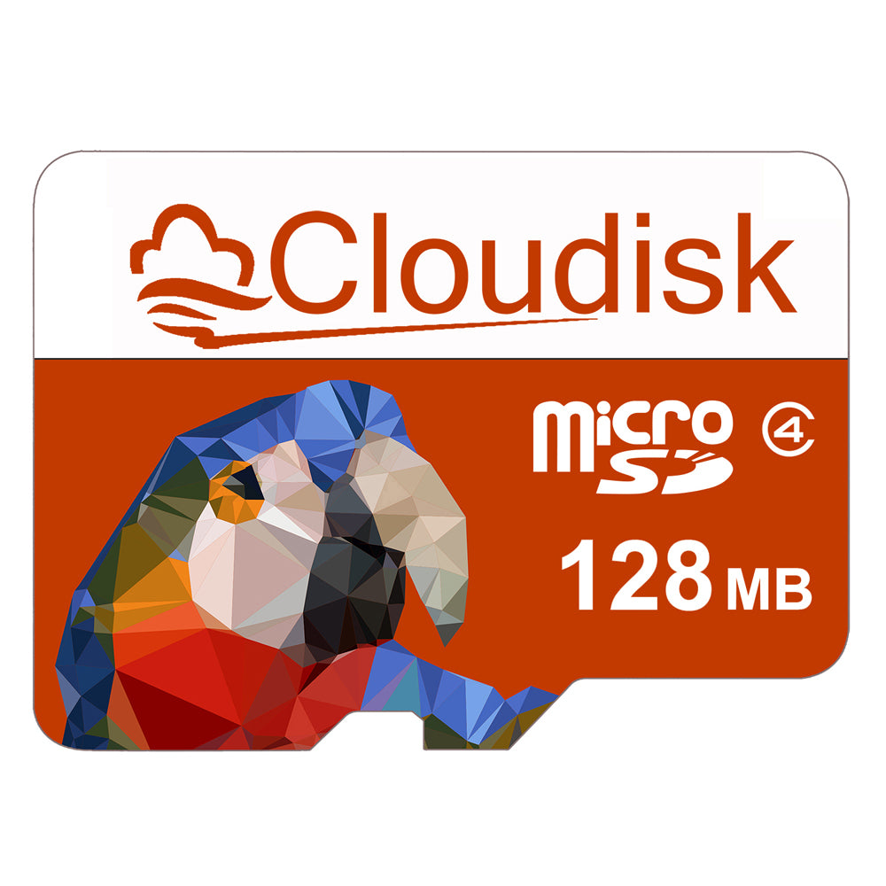 Cloudisk 256GB 128GB 64GB 32GB U3 V30 C10 Micro SD Card 16GB 8GB 4GB 2GB 1GB 512MB 256MB 128MB Flash Memory Card