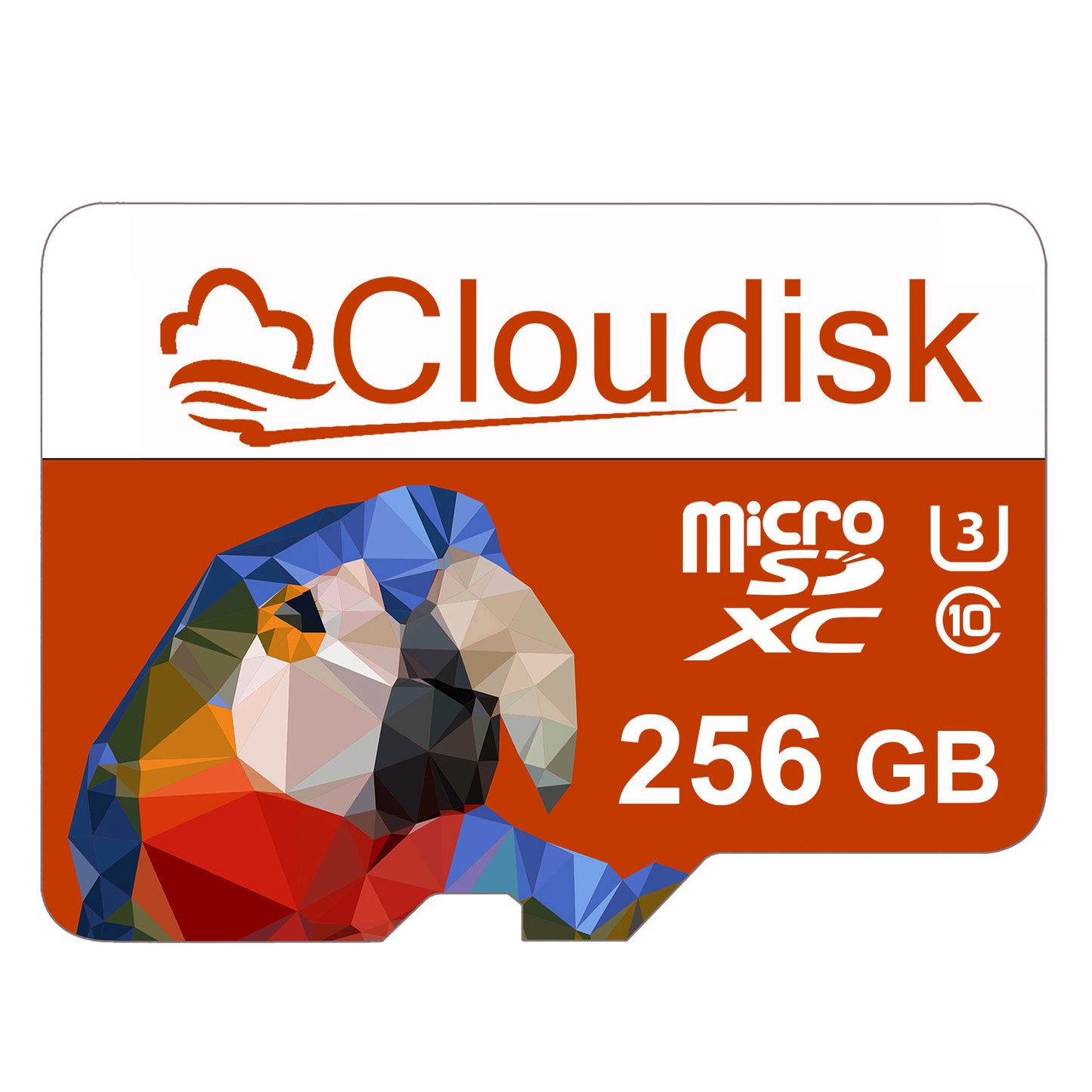 Cloudisk 256GB 128GB 64GB 32GB U3 V30 C10 Micro SD Card 16GB 8GB 4GB 2GB 1GB 512MB 256MB 128MB Flash Memory Card