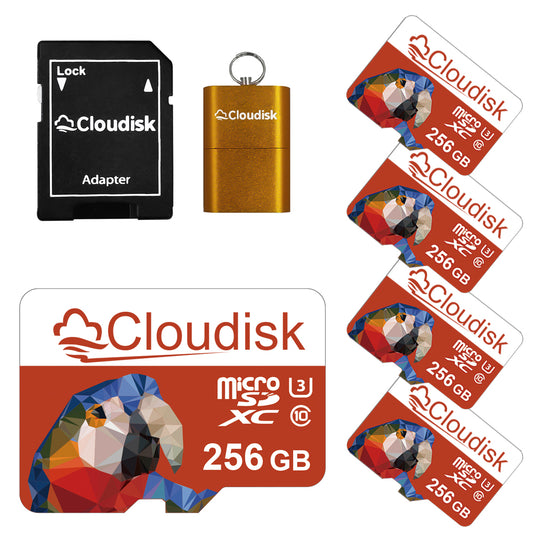 5Pack Cloudisk 256GB 128GB 64GB 32GB U3 V30 C10 Micro SD Card 16GB 8GB 4GB 2GB 1GB 512MB 256MB 128MB Microsd Flash Memory Card